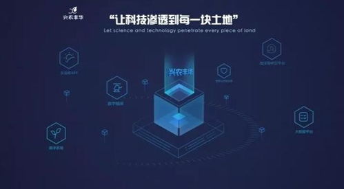 興農(nóng)豐華與國家玉米改良中心達(dá)成戰(zhàn)略合作 信息技術(shù)驅(qū)動玉米工程化育種創(chuàng)新